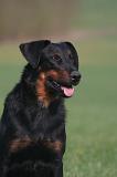 BEAUCERON 1022